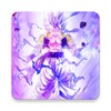 皮皮虾lite版